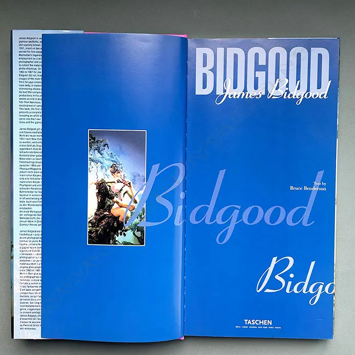 BRUCE BENDERSON: JAMES BIDGOOD Image 1++